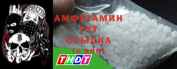 прущие грибы Кулебаки