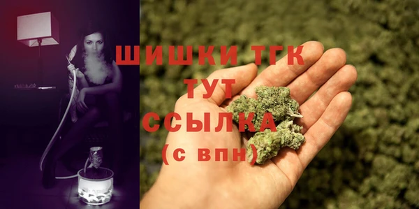 прущие грибы Кулебаки