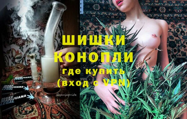 прущие грибы Кулебаки