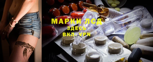 прущие грибы Кулебаки
