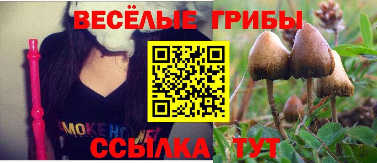 Галлюциногенные грибы Psilocybe  Псилоцибиновые грибы Psilocybine cubensis  Белебей 