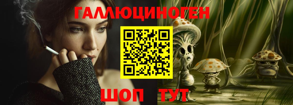 Галлюциногенные грибы Psilocybe Белебей